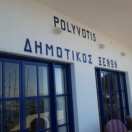 Polyvotis